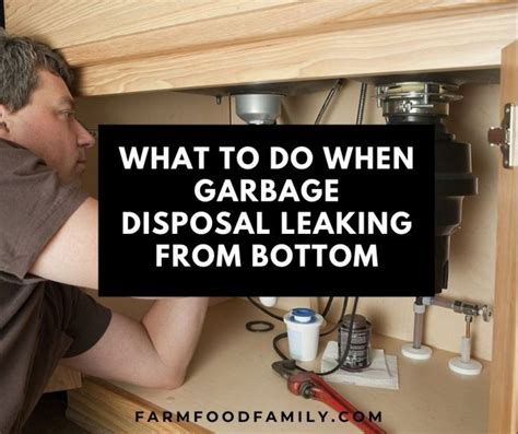 what makes a garbage disposal leak from the bottom|Top 5 Reasons Your Garbage Disposal Is Leaking